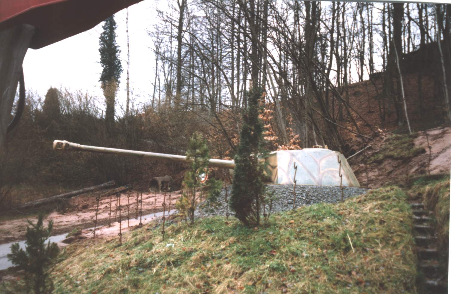 panther1