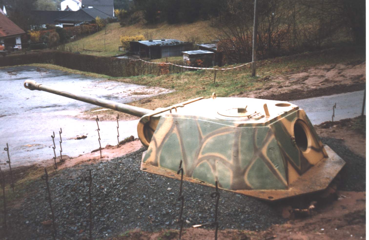 panther1